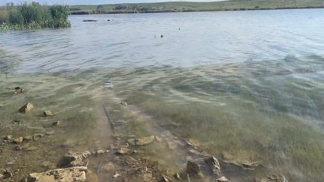 Новомарьевский лиман: рыбное место | Новомарьевская 6.06.22 смотреть онлайн