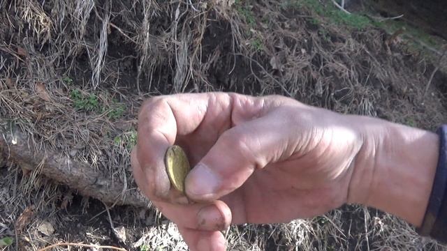 1 6 Какую то ценность и представляют монеты