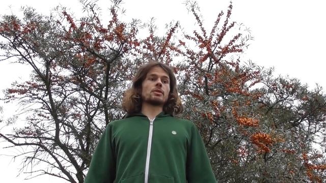 Sanddorn (Hippophae rhamnoides) Sammeln - Bestimmung, Inhaltsstoffe, Verwendung смотреть онлайн