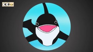 [EN] Sharks live under the wash basin 8, sea animals story, shark and whale namesㅣCoCosToy