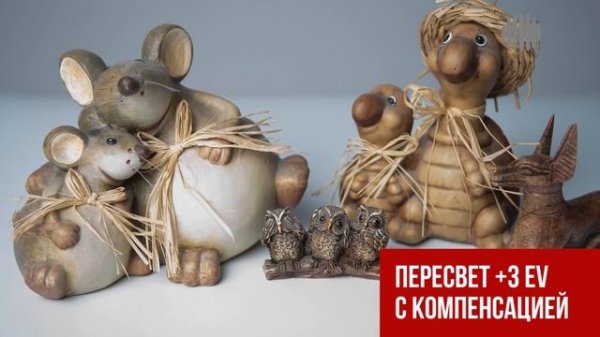 Nikon D7500. Большой тест