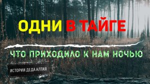 ОДНИ В ТАЙГЕ | ЧТО ПРИХОДИЛО К НАМ НОЧЬЮ | ТАЕЖНЫЕ ИСТОРИИ