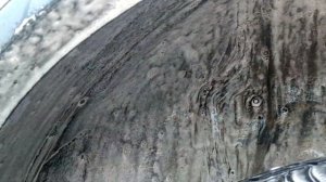 Как помыть днище и ходовую в домашних условиях.