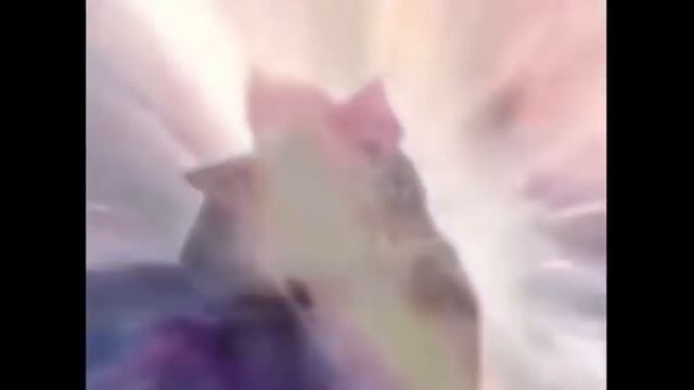 Cat Transcendence Limitless Shooting Stars смотреть онлайн