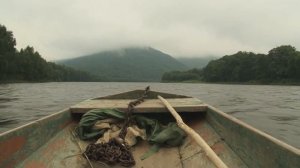 Великий лес Сихотэ-Алиня