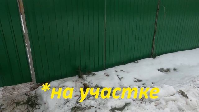 Рубить нельзя оставить. Где поставить запятую? смотреть онлайн