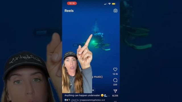 Professional shark diver reacts to shark bite смотреть онлайн