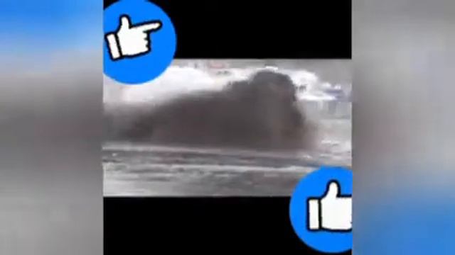 Едь за мной я знаю короткую дорогу! смотреть онлайн
