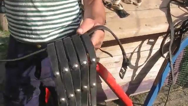 Упряжь для лошадей Курьяна Александра смотреть онлайн