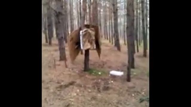 Юля кидает нож в живое дерево смотреть онлайн
