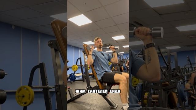 Жим гантелей сидя смотреть онлайн