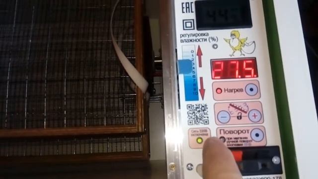 Инкубатор "НОРМА Парка 120 яиц" С8 смотреть онлайн