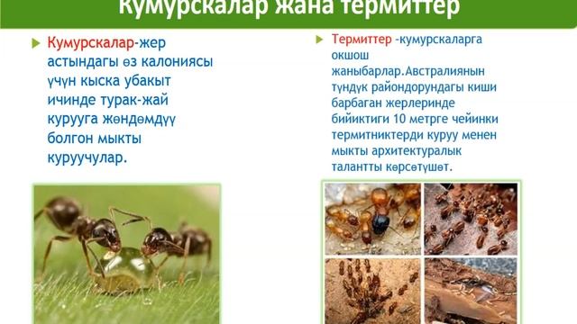 Технология 5-класс смотреть онлайн