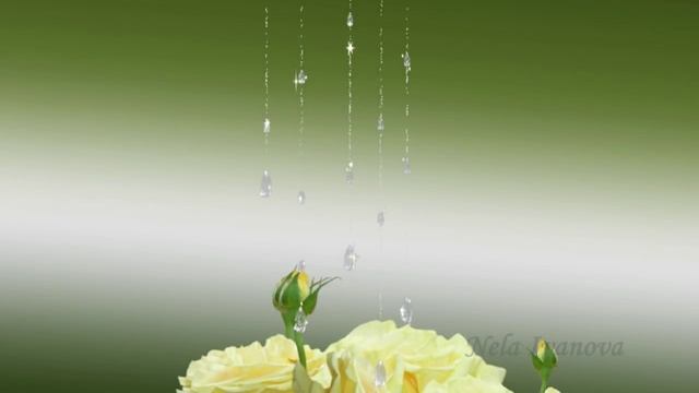 Красивое оригинальное поздравление с Днем рождения. смотреть онлайн