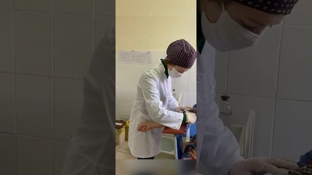 “Вакутайнер арқылы көктамырдан қан алу” 323ЖМ Сатылғанова Амина смотреть онлайн
