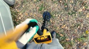 Какой металлоискатель купить MD6250 или TX850? В чем отличие какой лучше? Сравниваем МД6250 и ТХ-85