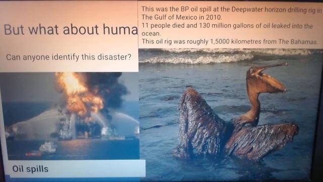 Grade 8 Human vs Natural disasters video 2 смотреть онлайн
