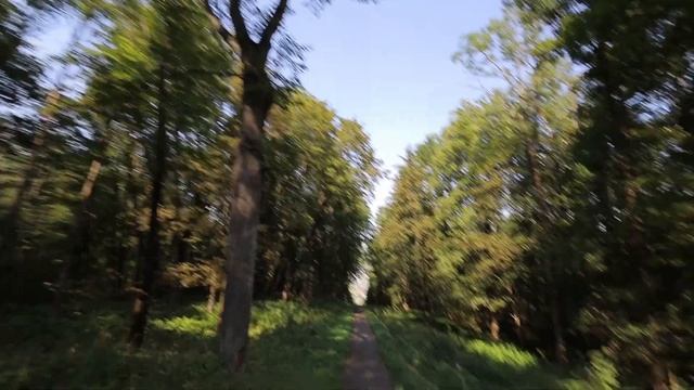 Парк Пулковской обсерватории. Лестница и самолёты. Санкт-Петербург. 27.08.2022 г. смотреть онлайн