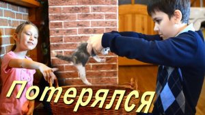Котёнок потерялся, Карина плачет