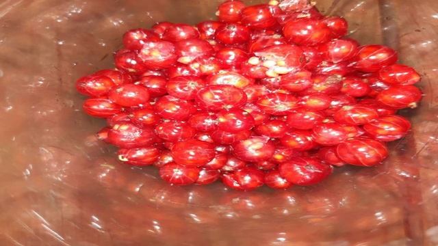 Кухня Мамашки