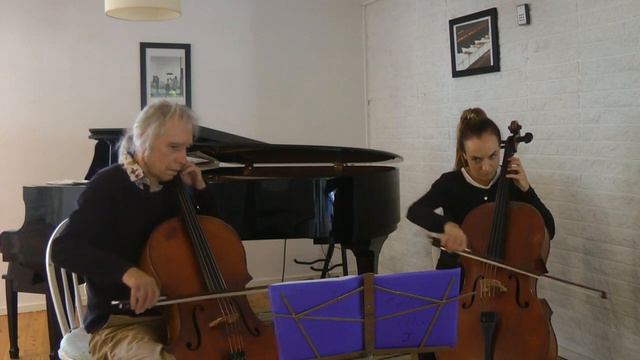 Scarborough Fair - arranged for 2 Cellos смотреть онлайн