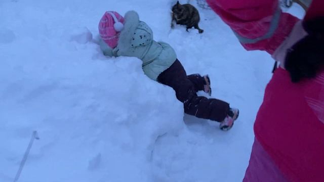 Сломалась теплица под натиском снега! Какую же теплицу выбирать или из чего строить? смотреть онлайн