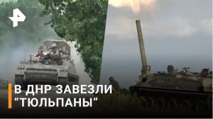 «Тюльпаны» в ДНР: как работает царь-миномет / РЕН Новости
