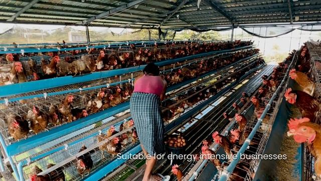 SigenStor Revolutionizes Energy Systems For A Chicken Farm