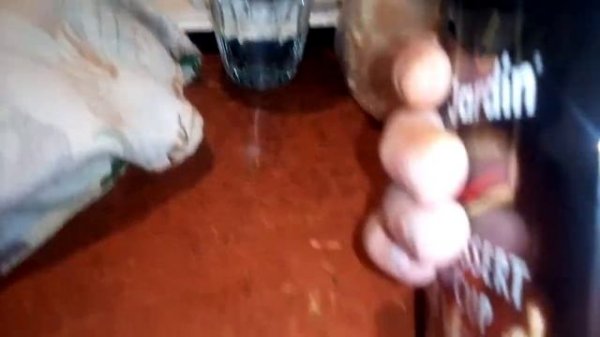 Про кофе "Jardin DESSERT CUP "