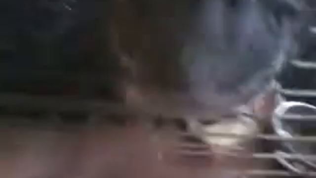 Шиншиллы смотреть онлайн