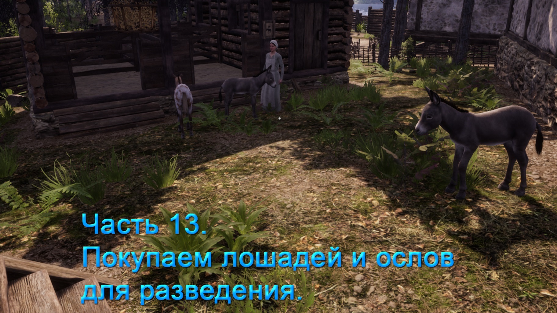 Medieval Dynasty (Часть 13) Подробный обзор игры! Покупаем лошадей и ослов для разведения! смотреть онлайн