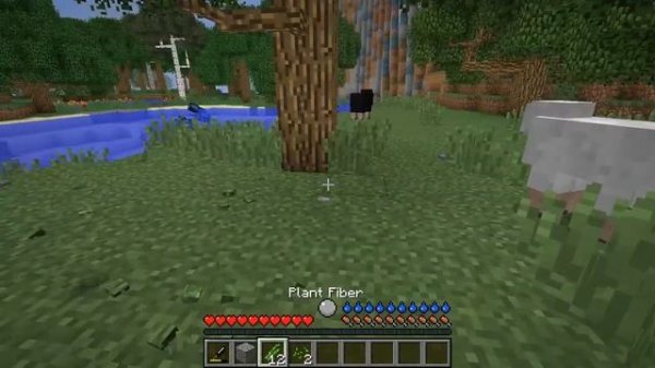 RL Craft Guide: Quick Start