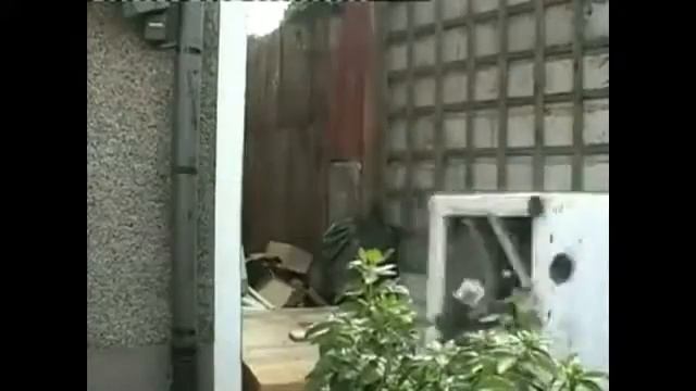 Видео приколы (тест драйв стиралки) смотреть онлайн