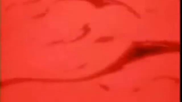 hunter x hunter-ryodan-rammshtein смотреть онлайн