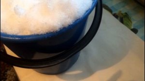 Особенности полива толстянки, или как правильно поливать денежное дерево..