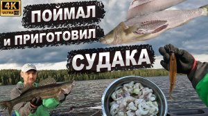 Ловля и приготовление ХЕ из судака