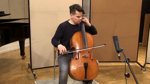 P. Tchaikovsky: Pezzo Capriccioso for cello and piano op. 62 - Václav Petr смотреть онлайн