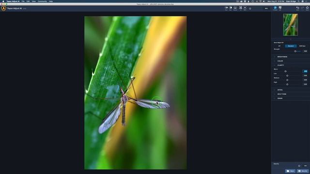 TOPAZ ADJUST AI: A Complete Editing Solution??? смотреть онлайн