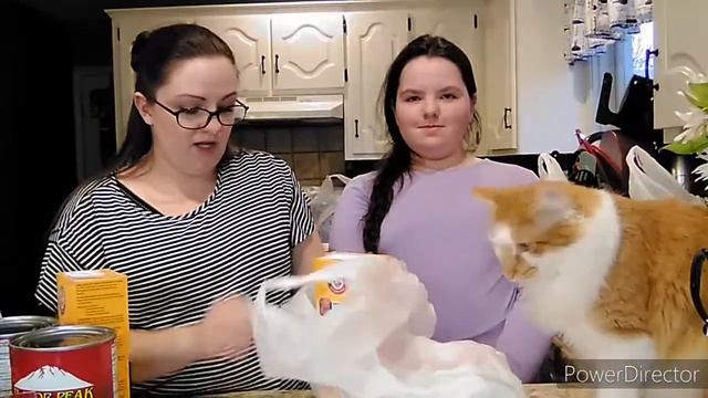 Monthly grocery haul part 2! 3/6/2021 смотреть онлайн