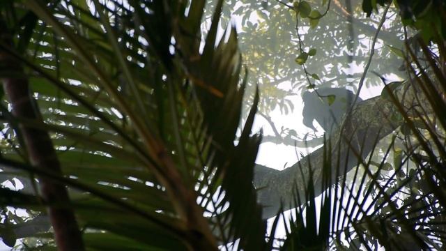 Sugarloaf Mountain, Rio 2016 / Сахарная голова, Рио 2016 смотреть онлайн