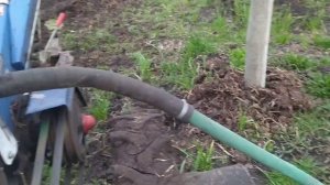 Борьба с кротом с помощью выхлопных газов