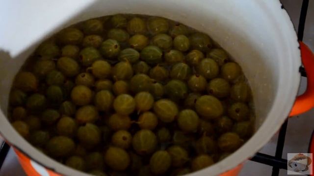 Веганские Рецепты