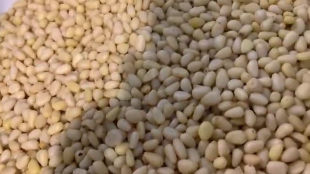 Сортировка кедрового ореха на L серии смотреть онлайн