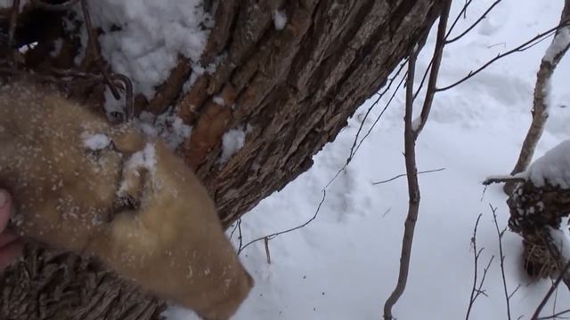 Проверка большого путика на снегоходе. смотреть онлайн