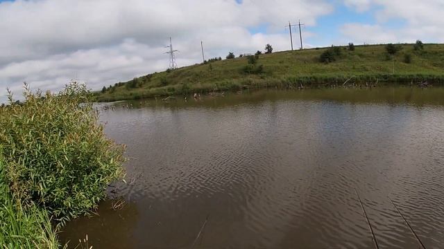 Белый амур на бойлы(не спортивно)Рыбалка одной поклёвки. смотреть онлайн
