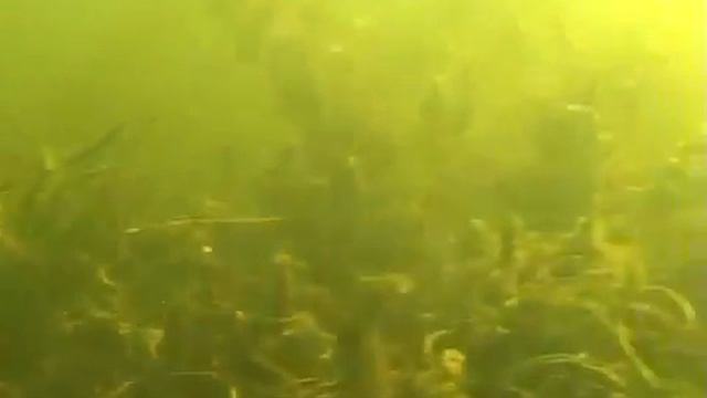 Удачная рыбалка с Lowrance StructureScan на Днепре Mp4 2