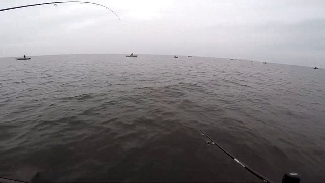 ТОП 3 РАТЛИНА НА СУДАКА / Ловля судака на ратлины / ловля судака на джиг / Судак