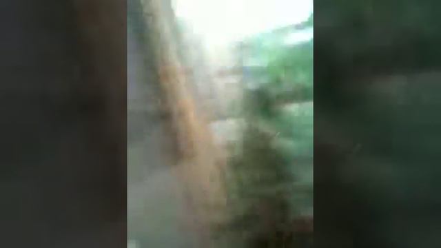 Дом Бабочек смотреть онлайн