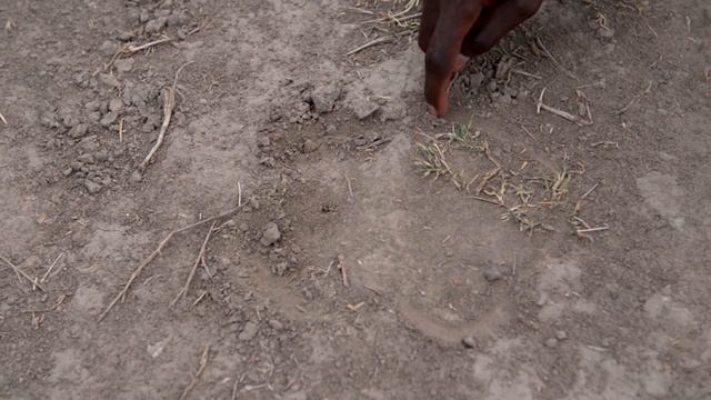 Time Is Running Out For Black Rhinos On The Brink Of Extinction | Giving Nature A Voice | Real Wild смотреть онлайн