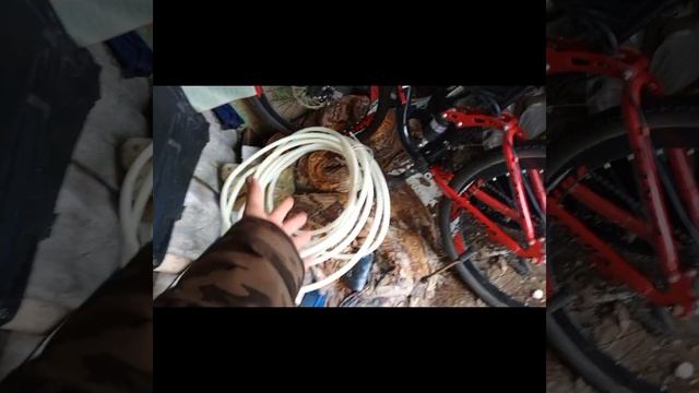 достал лясик куда дел мустанг и снежку смотреть онлайн